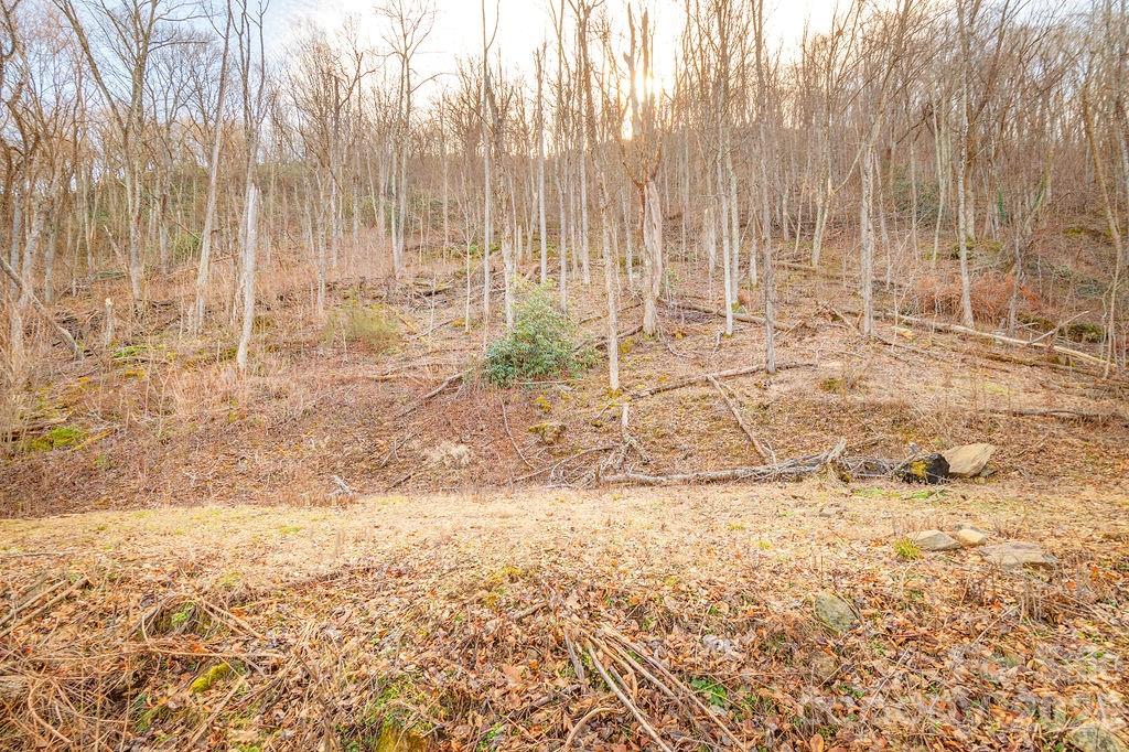 Patchens Mountainside Forest - Land
