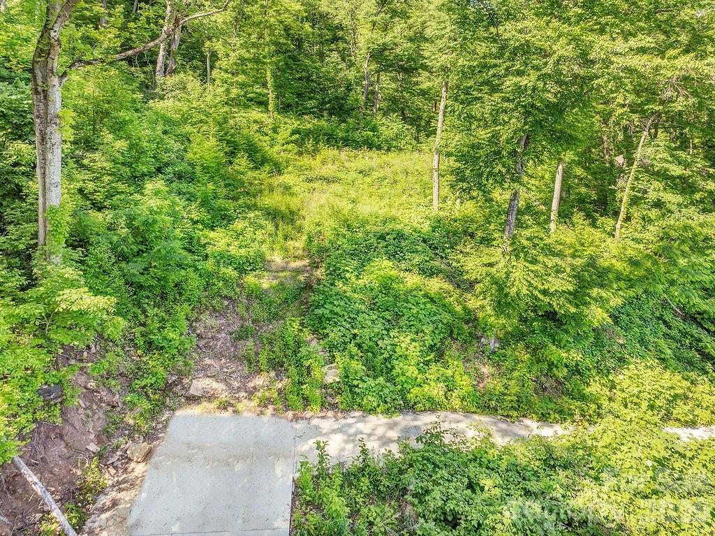 Patchens Mountainside Forest - Land