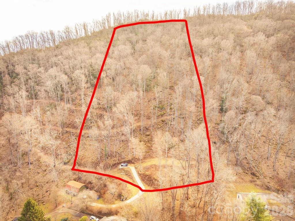 Patchens Mountainside Forest - Land