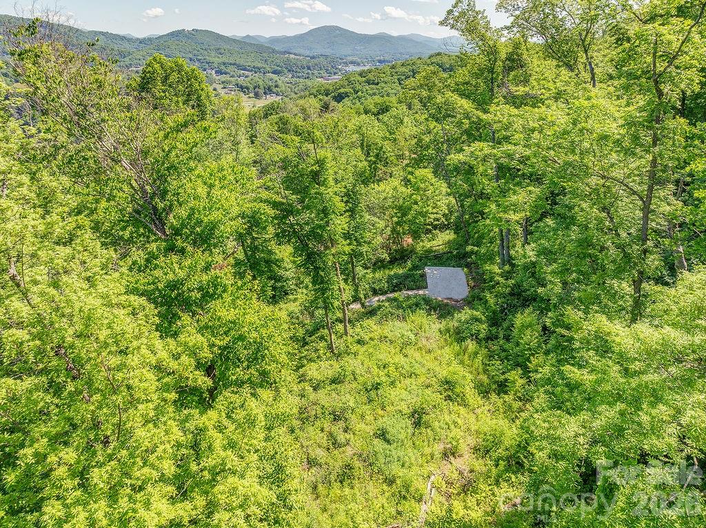 Patchens Mountainside Forest - Land