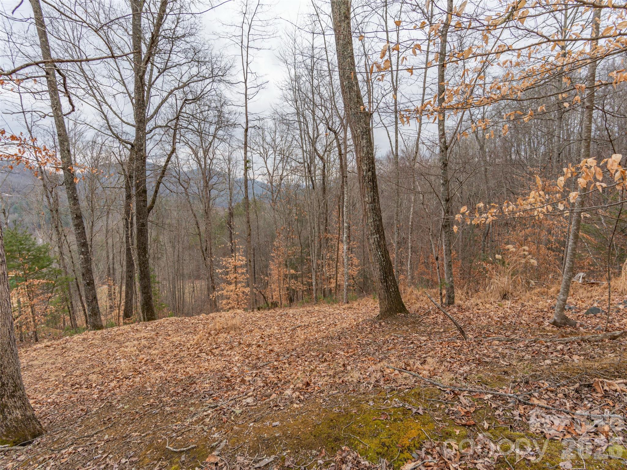 Mountain Meadows - Land