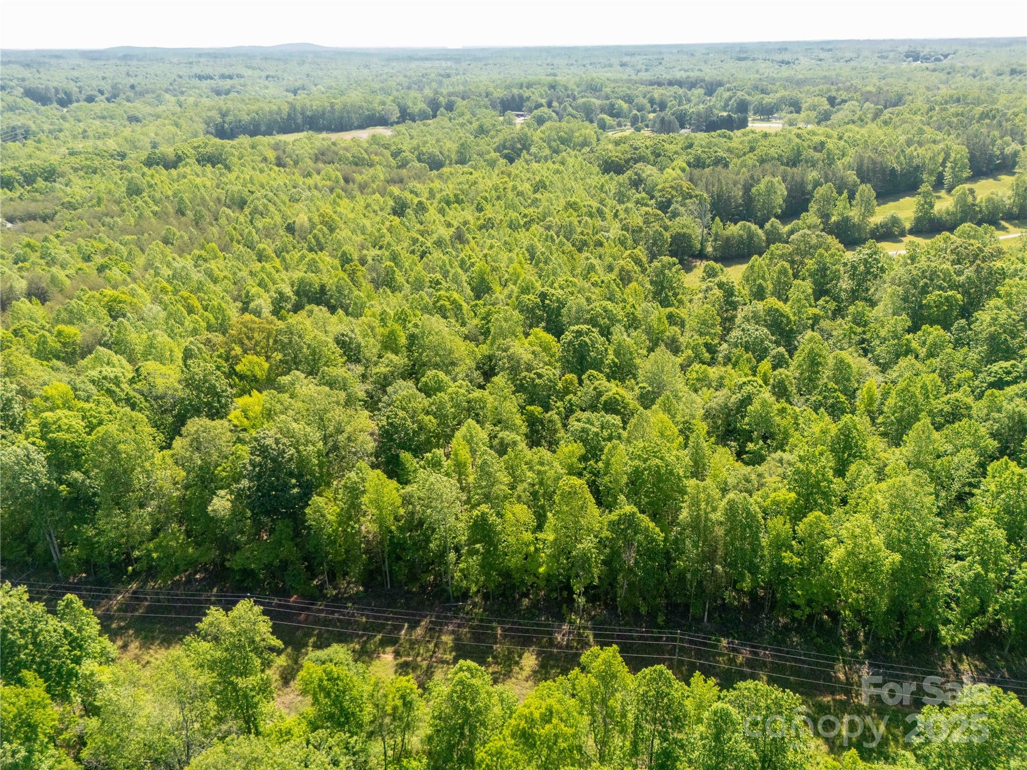 Magnolia - Land