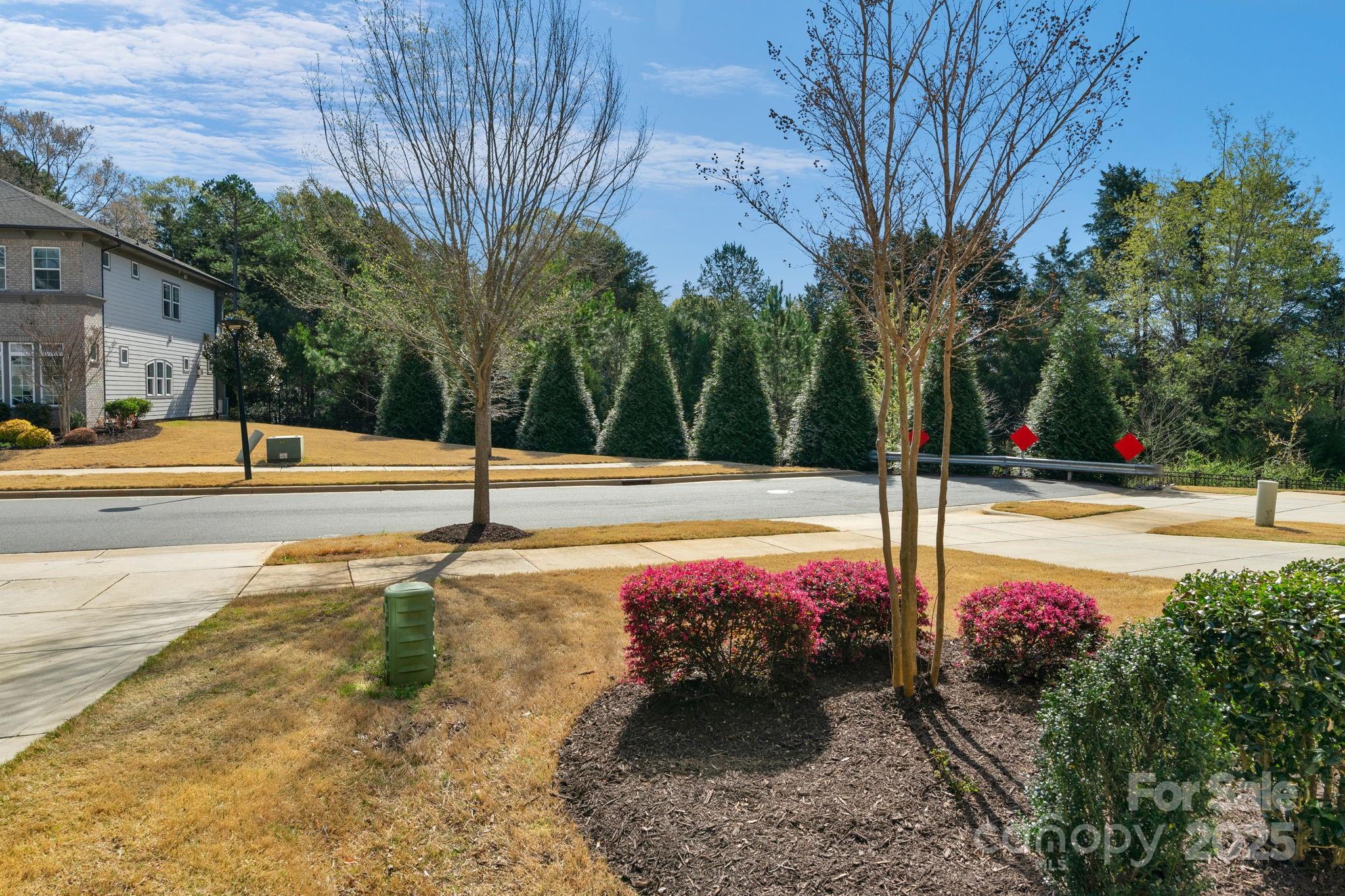 Waverly - Residential