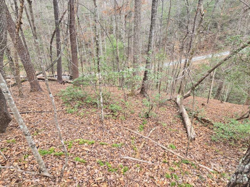 Riverbend at Lake Lure - Land