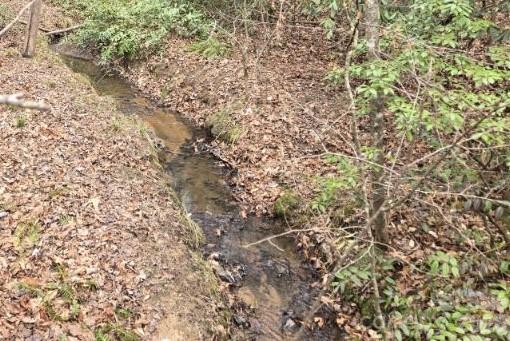 AMAZING PRICE REDUCTION.! Seller sez "LET IT GO".! You can take advantage now on this lot in River Bend.!! Price is firm but oh so much of a bargain.!! Riverbend at Lake Lure is an absolutely wonderful community which has the Broad River flowing through, just below Lake Lure. Just inside its Main Gate is a natural, almost horseshoe shaped, bend in the Broad River. Very lovely area there with trails and river access. You've got to check out the "Old Swimming Hole" and take a dip!
Within the community are multiple lakes with beaches, pavilions, and community center to explore. Both Upper and Lower Hickory Nut Lake are accessible to all residents and offer the ability to enjoy paddle sports, swimming, fishing, or just laying out on the beach by the shore. All with views of the mountains in the distance! This lot is very close to the beach and pavilion at Hickory Nut Lake! The little mountain village of Lake Lure itself is just a short 15 minutes away. 
Lot 326 on Shannons Walk is a unique lot! From both sides of this lot, you can gaze onto the pretty stream running below. There is a small, spring fed creek, coming from across the street and traversing the entire lot! Depending on how you wished to access the lot, you could potentially build on either side of the stream; on Shannons Walk, or on Deers Circle. Come check out this lot and the wonderful community that surrounds it. You will fall in love!