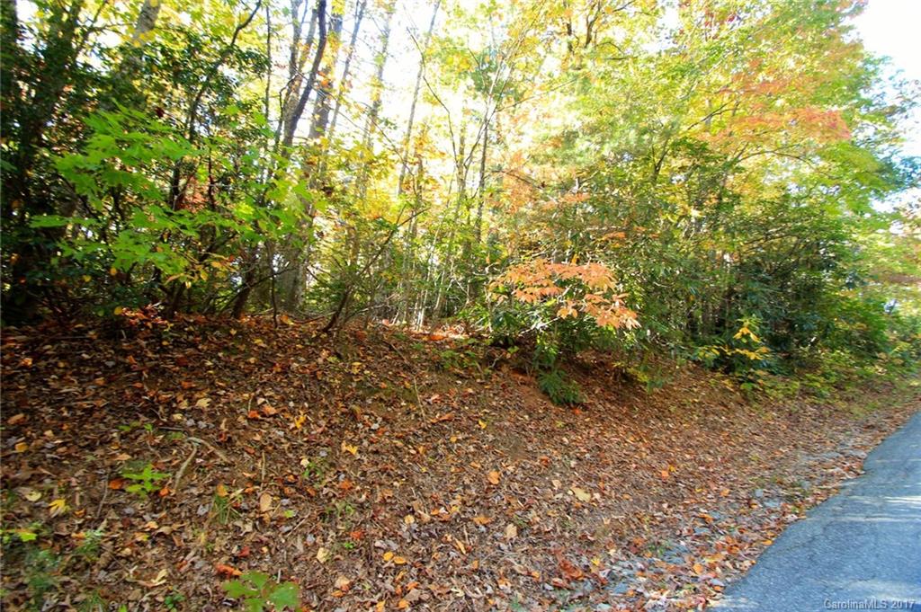 Pisgah Forest Estates - Land