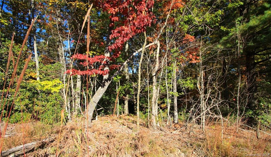 Pisgah Forest Estates - Land
