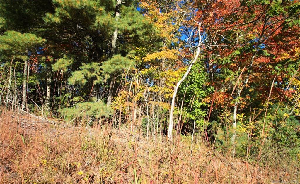 Pisgah Forest Estates - Land