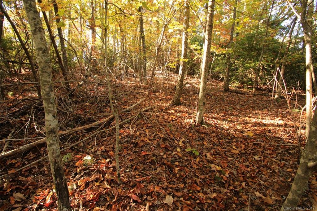 Pisgah Forest Estates - Land