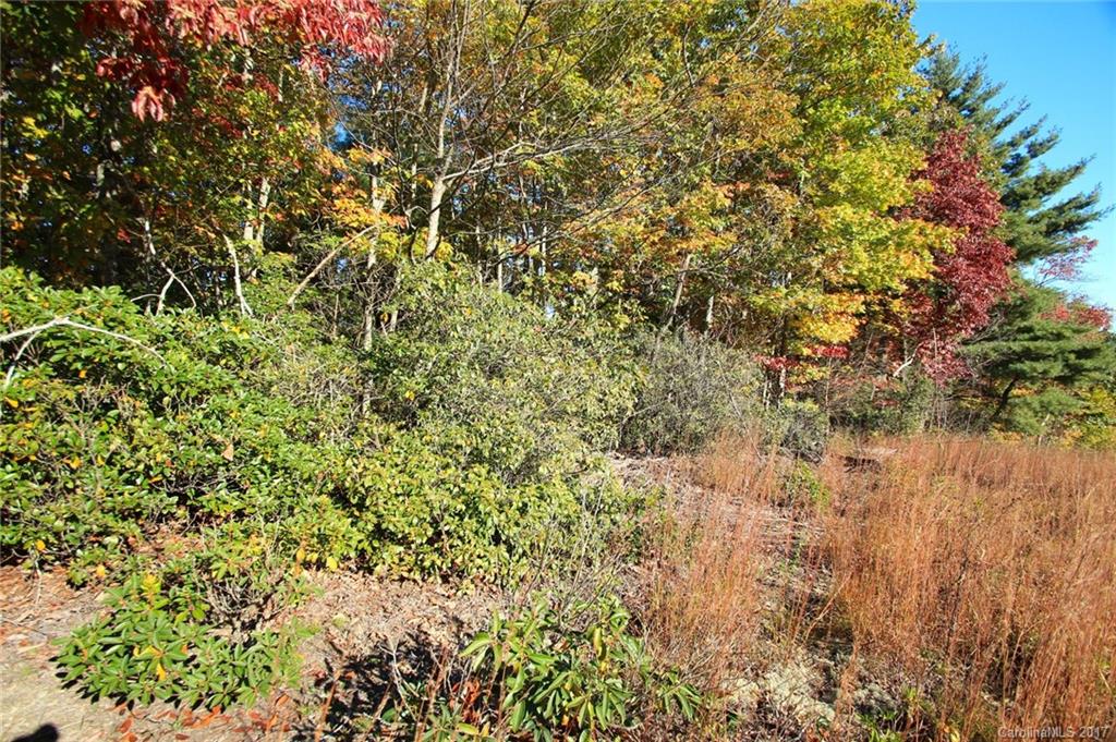 Pisgah Forest Estates - Land