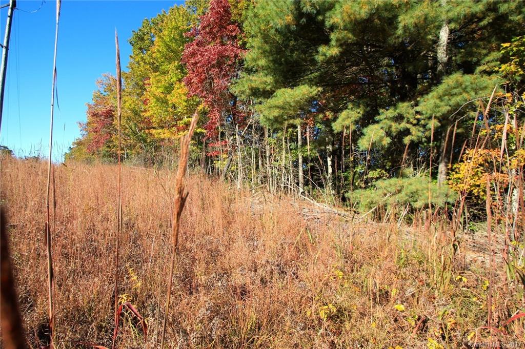 Pisgah Forest Estates - Land