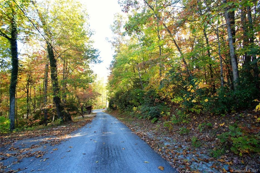Pisgah Forest Estates - Land