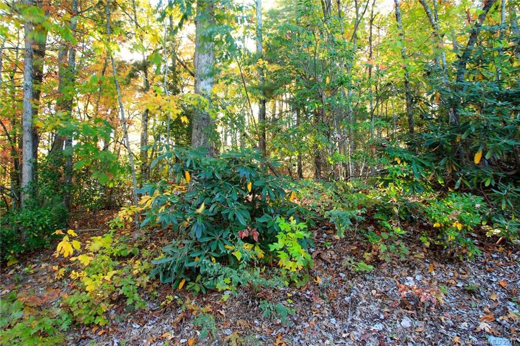 Pisgah Forest Estates - Land