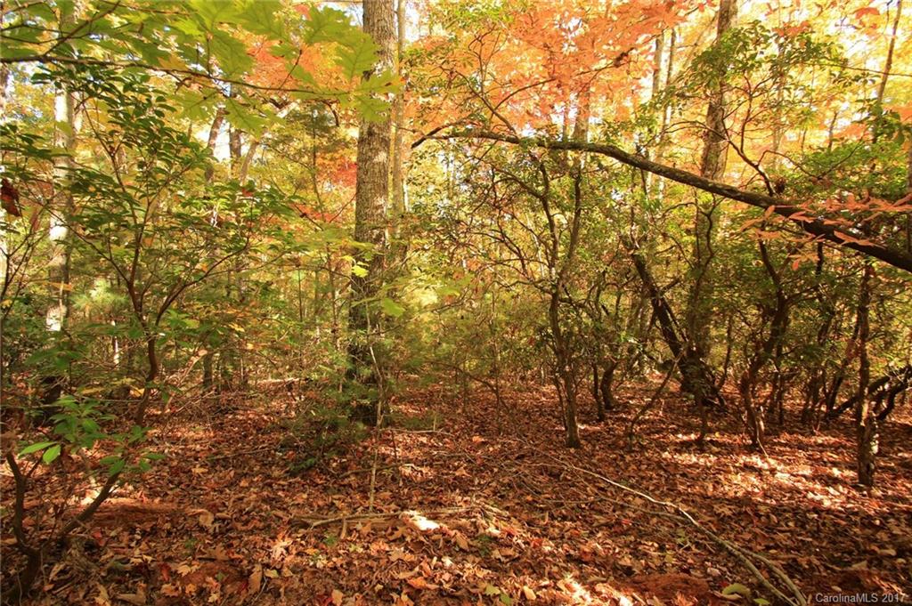 Pisgah Forest Estates - Land