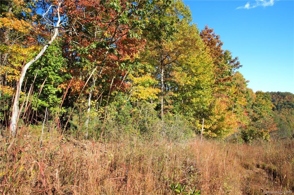 Pisgah Forest Estates - Land