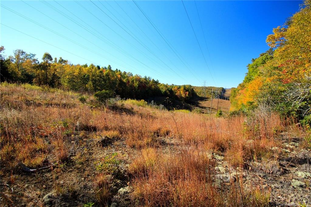 Pisgah Forest Estates - Land