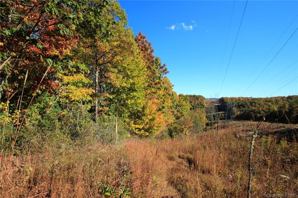 Pisgah Forest Estates - Land