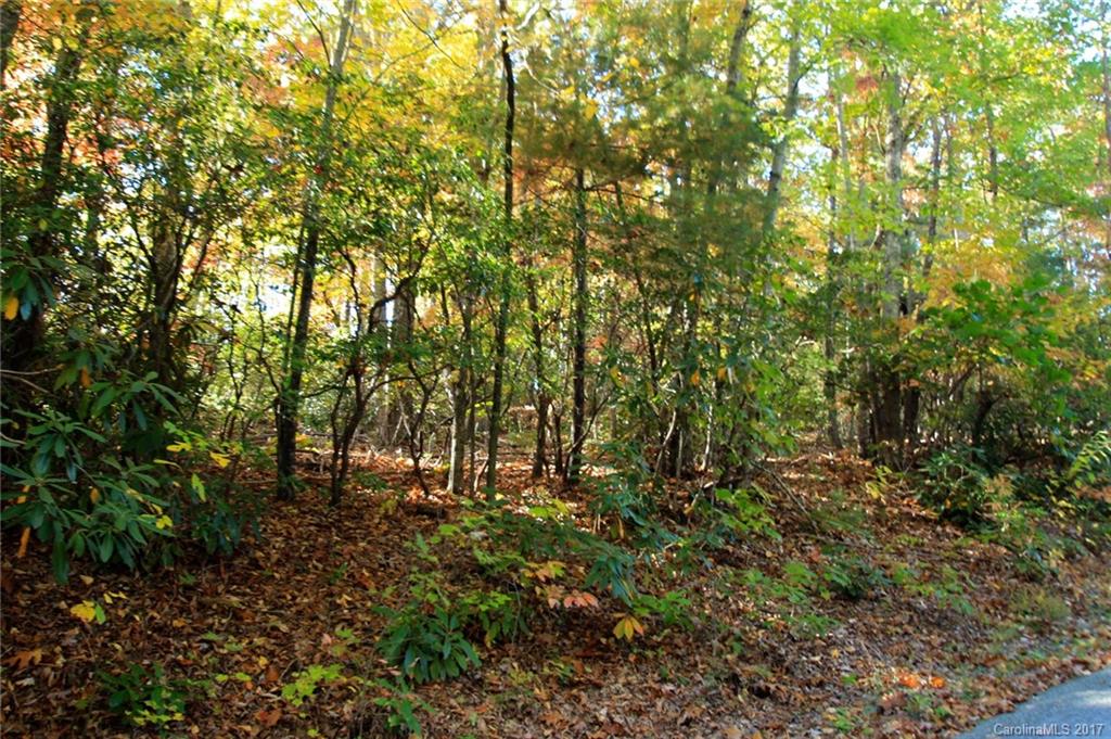 Pisgah Forest Estates - Land