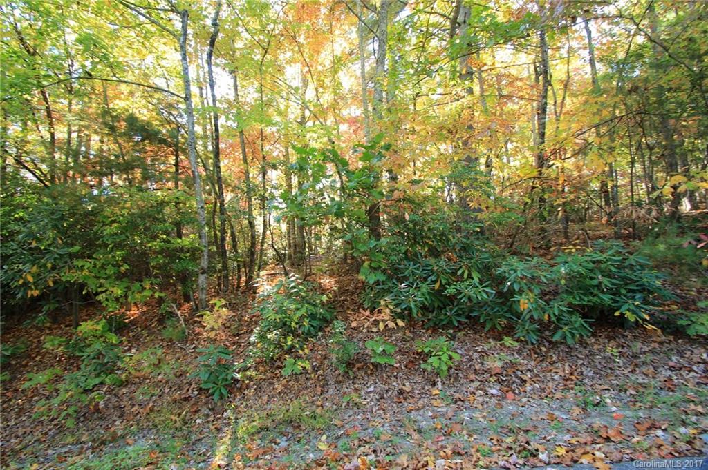 Pisgah Forest Estates - Land