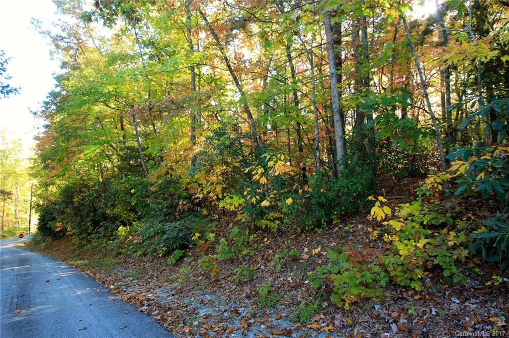 Pisgah Forest Estates - Land