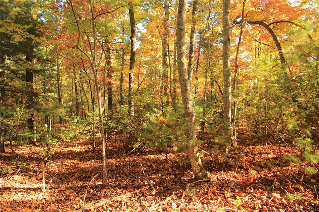 Pisgah Forest Estates - Land