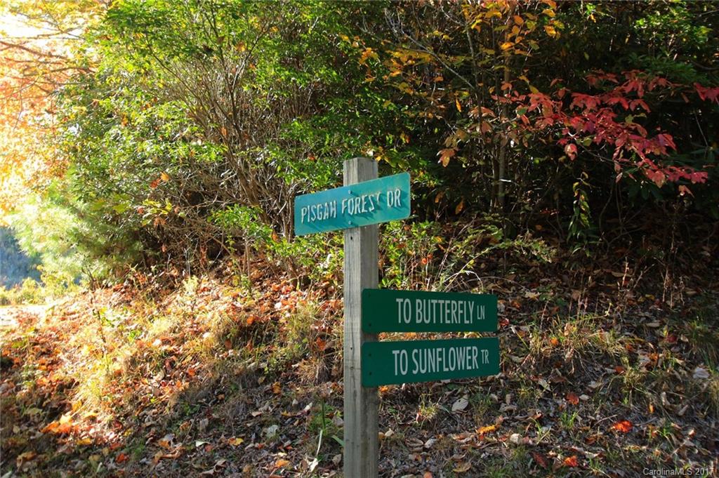 Pisgah Forest Estates - Land