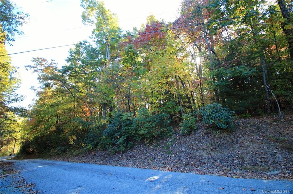 Pisgah Forest Estates - Land