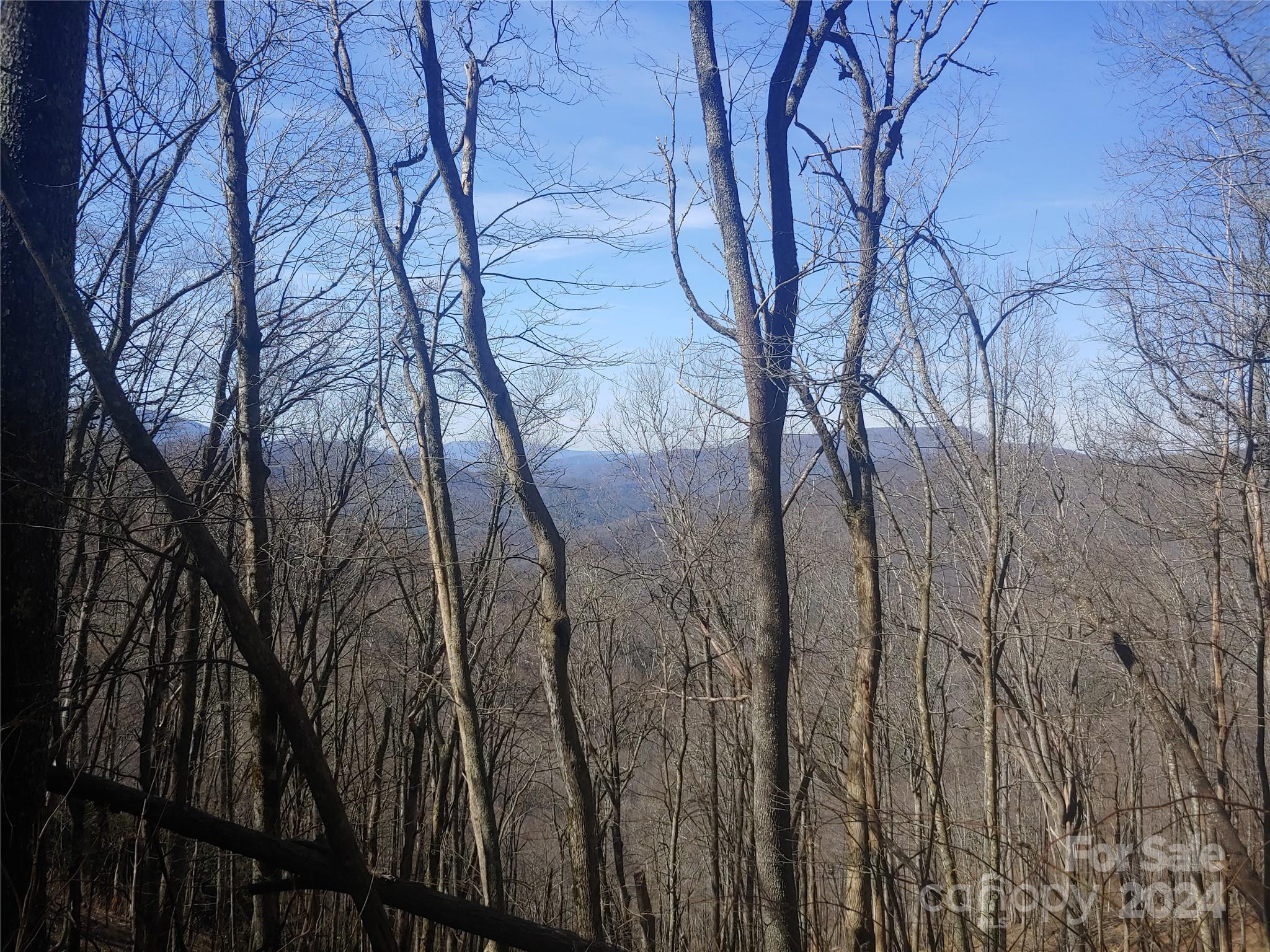 Great elevation view lot. Top of the world with views of National Forest. Community water available. Restrictions only require 800sf.