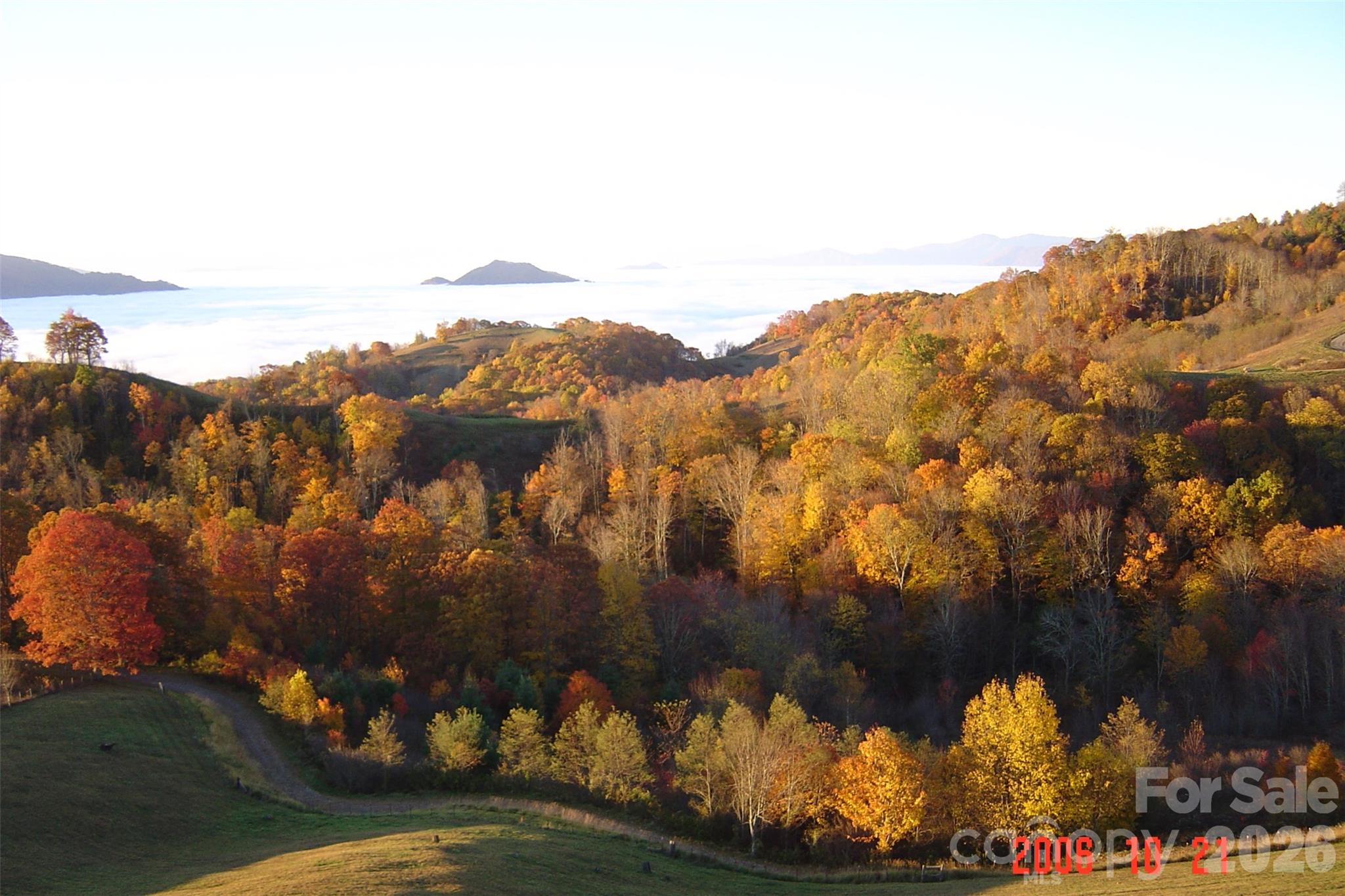 Turkey Trot Farms - Land