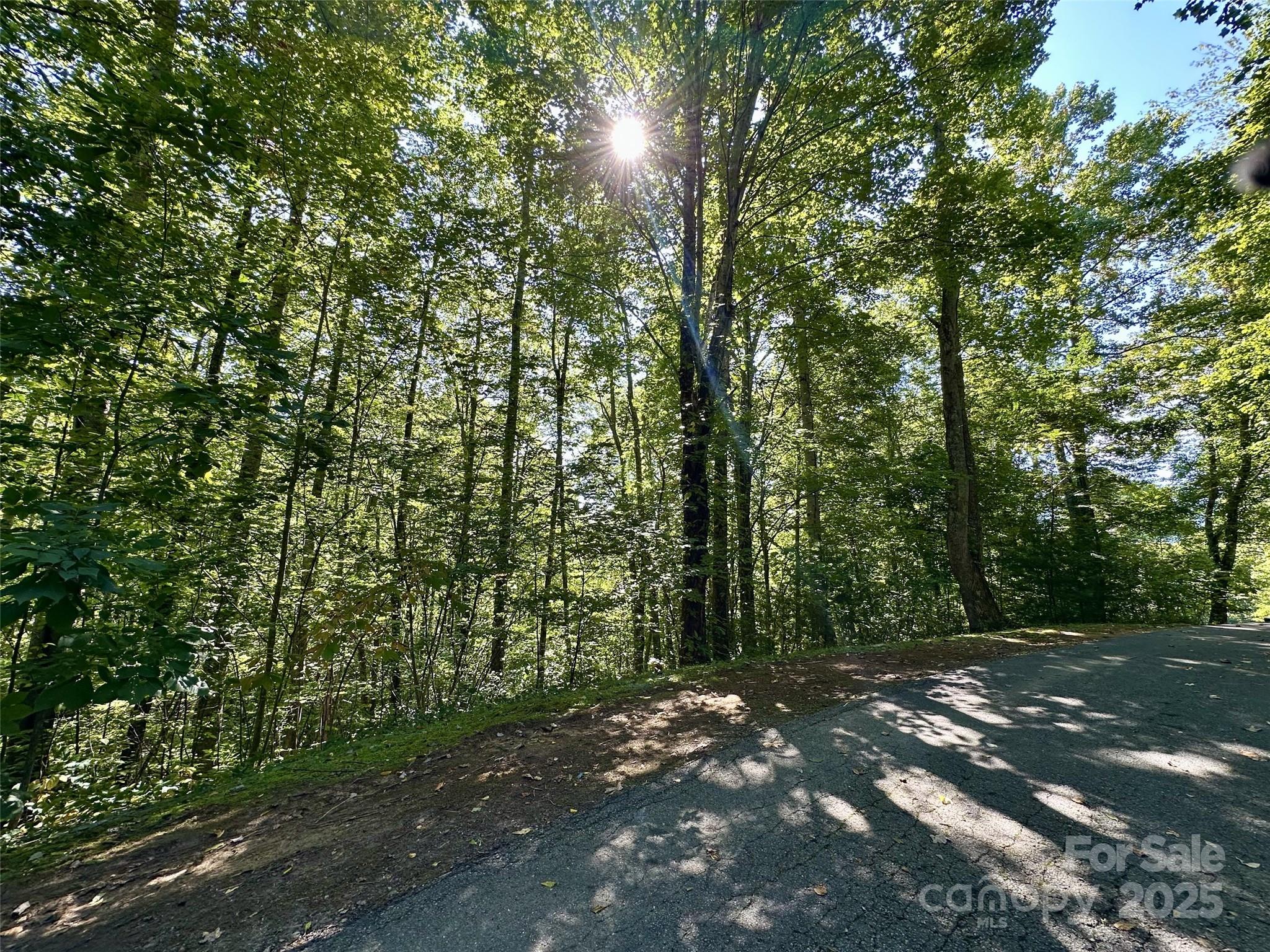 Scarlet Oaks - Land