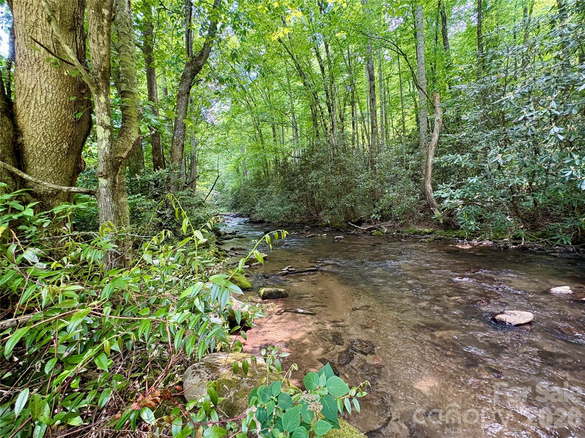 Alarka Creek Properties - Land