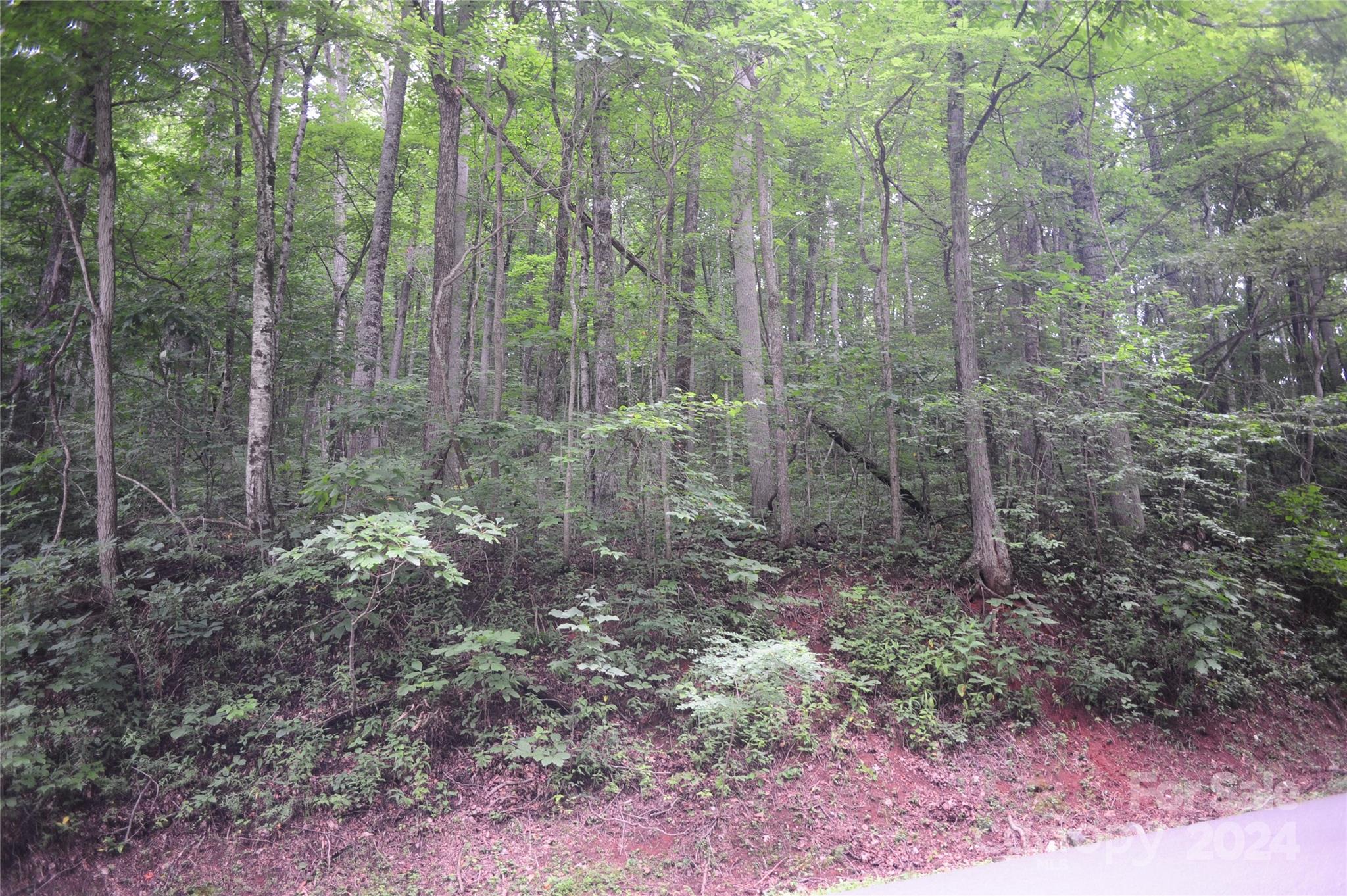 Build your mountain dream home on this beautiful, gently sloping lot with winter mountain views in the highly desirable gated Creston community, which has a clubhouse, fitness center, playground, picnic area, hiking trails, and more! Short-term rentals of one week or more duration allowed. Underground high-speed fiber optic internet and electric already in place. Seller has a prior survey and expired septic permit. Bring your builder and your vision and see this gentle topography lot today!