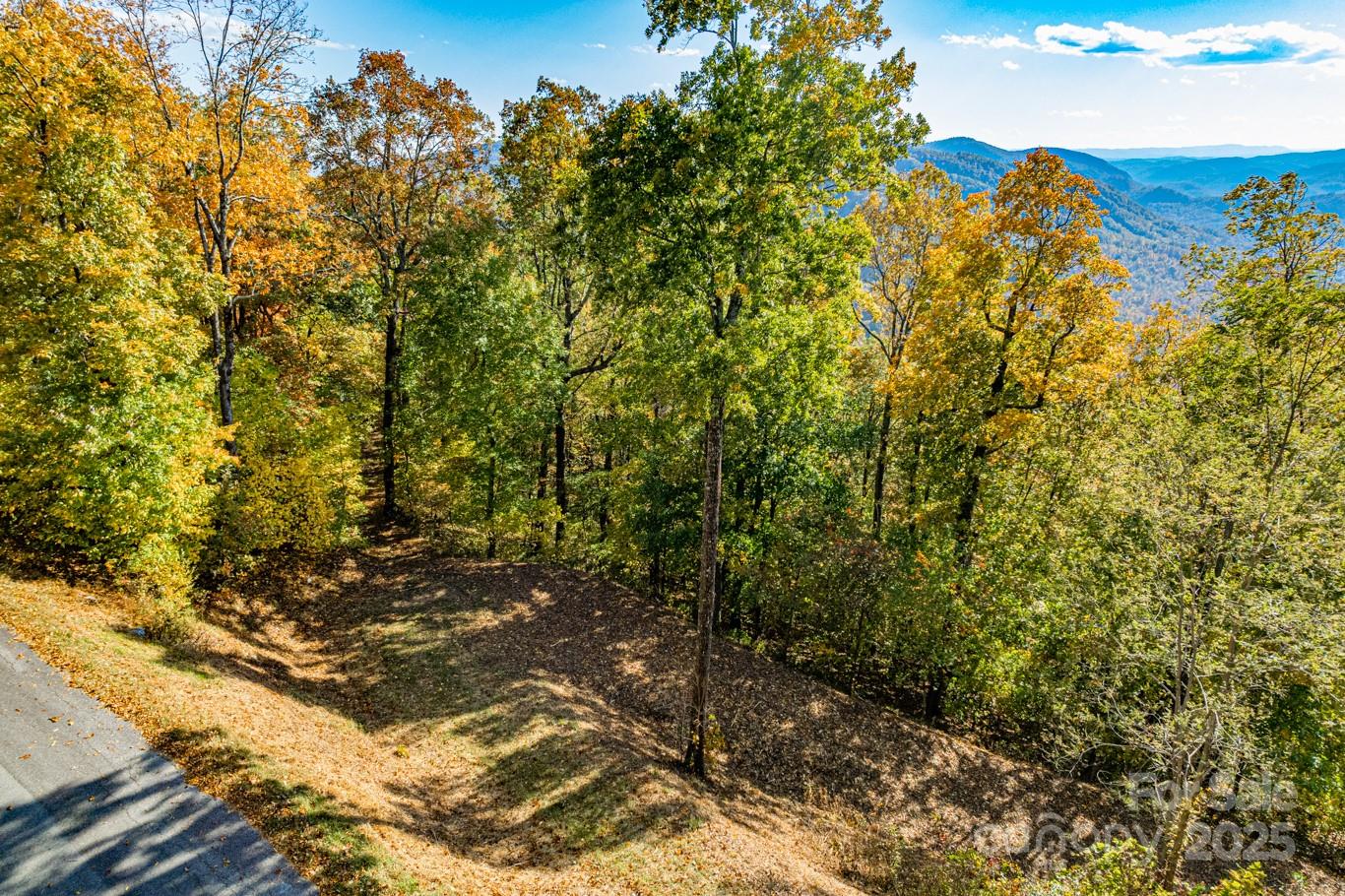 High Cliffs At Round Mountain - Land