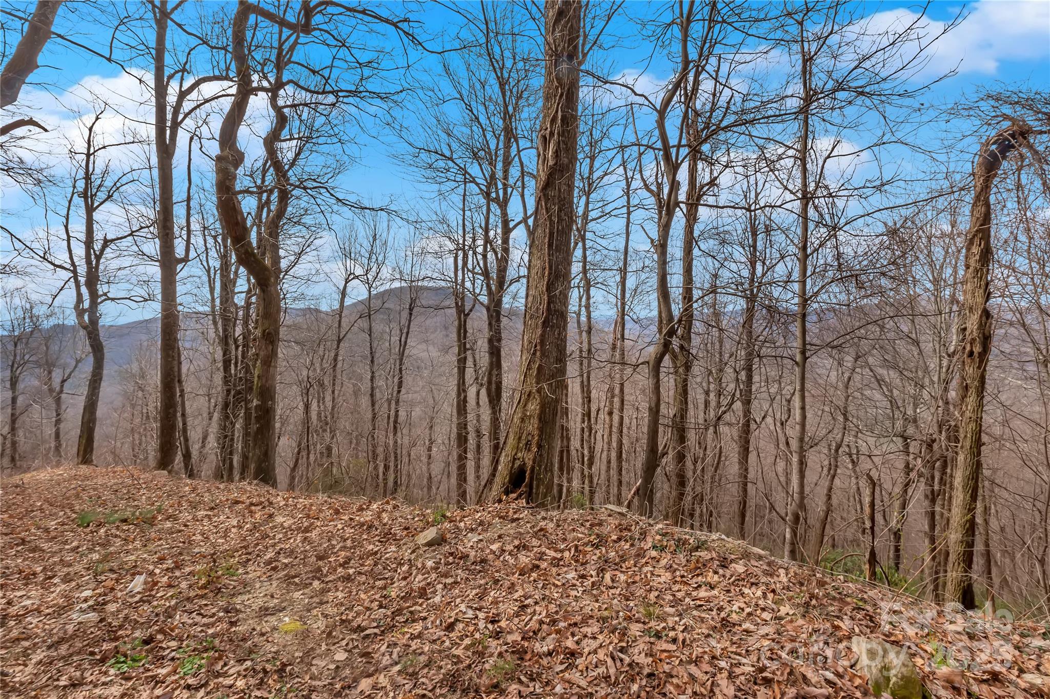 High Cliffs At Round Mountain - Land