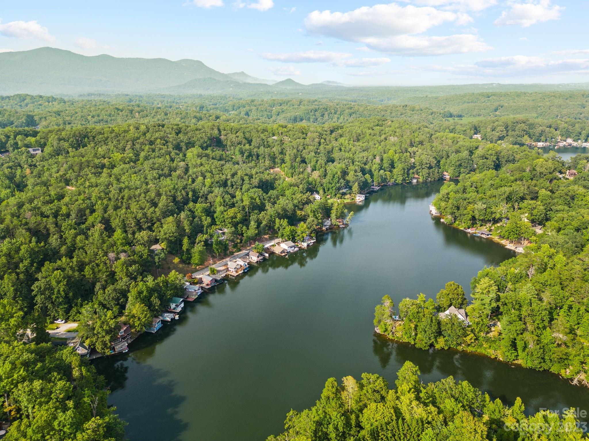 Lake Lanier - Residential