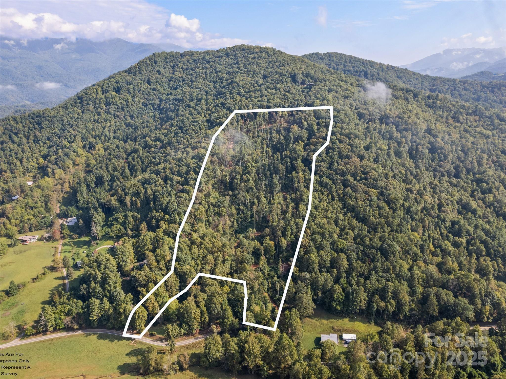 16.5 acre tract available above East Cope Creek in Jackson County, NC, located just minutes from Sylva’s iconic downtown and Western Carolina University. The property features a freshly graded forest service road which navigates the entire property and leads to multiple build sites. The upper portion of the forest service road can be improved to reach more potential build sites or left as-is and utilized as a private trail system for hiking, biking and 4-wheeling! 

Top half of property features direct views of downtown Sylva and long-range views of the Blue Ridge Mountains and Nantahala National Forest. This tract is conveniently located: 5 minutes to downtown Sylva and Harris Regional Hospital, 10 minutes from recreational access to the Tuckasegee River and Sylva’s Greenway, 15 minutes from Western Carolina University, the Blue Ridge Parkway, the infamous Fisher Creek Trailhead and the Mountains-to-Sea Trail, 30 minutes from Cherokee’s amenities and the Great Smoky Mountains National Park and within one hour of bucket-list trails and peaks in the Pisgah and Nantahala National Forests! 

Nestled in the East Cope Creek watershed, this property offers peace and quiet, spectacular sunsets and pastoral surroundings. Hardwood timber stockpiled from preliminary clearing can provide several seasons of firewood or potentially be milled for on-site lumber. The property is well-suited for building multiple homes for a family homestead or for developing cabins, campsites and/or treehouses for Airbnb, Hipcamp, or long-term rentals for students and professors at nearby Western Carolina University. 

Listed at tax value, the property has already benefited from the current owner’s early development work. Take advantage of their efforts and begin your mountain living—or rental investment—sooner rather than later!