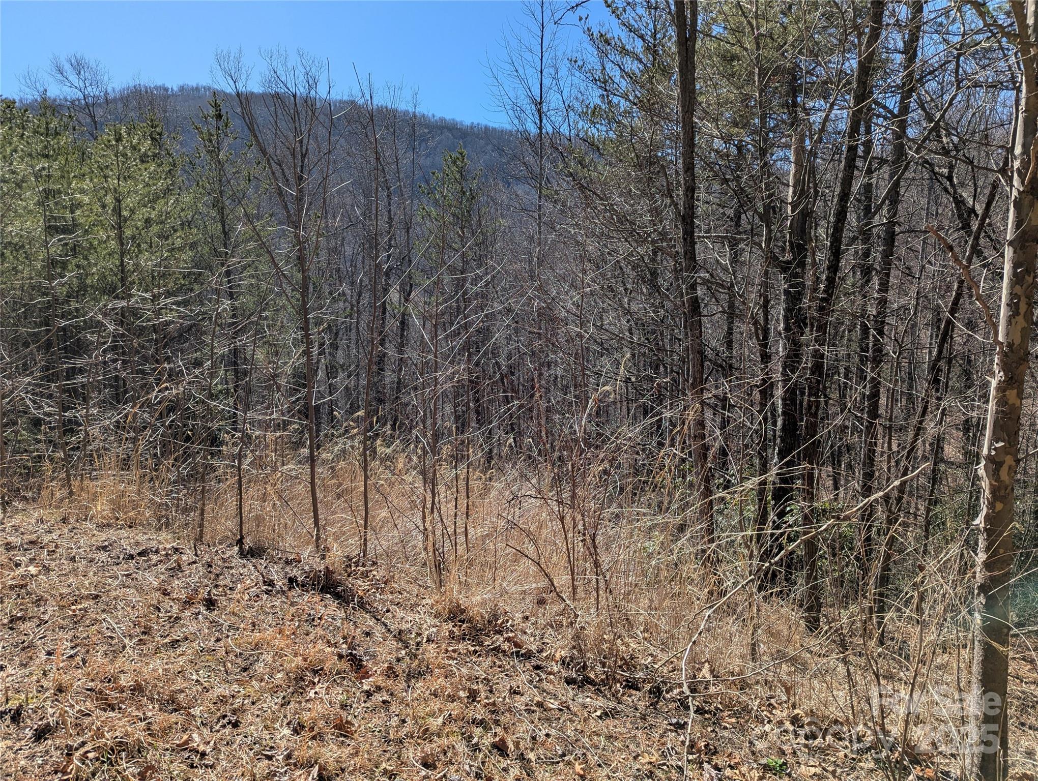 Creston - Land