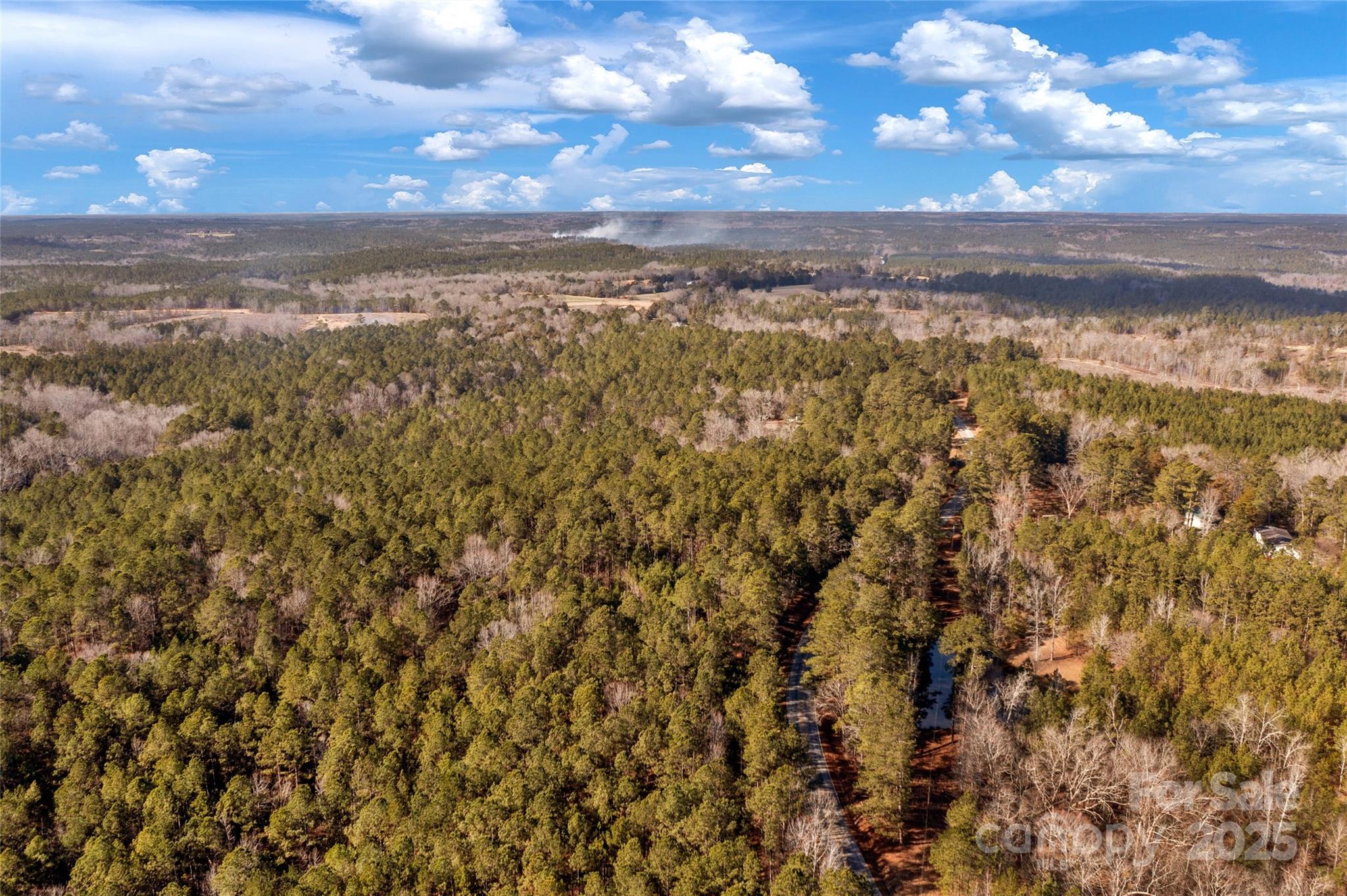 Amazing opportunity to own a large tract in the highly desirable Blackstock, SC. Between Charlotte and Columbia, and easy access to HWY 321 / I 77, this location is fantastic. 100 Acres of timber production, wonderful hunting/recreation, and country living. The large piece meets the criteria for deferred property taxes through Fairfield County along with having mature timber income. Pursue building your dream home, family compound, large estate, or use for agriculture and recreational activities. This land is full of both large and small game. The mature hardwoods provides mast for the animals Little River flowing through the property creates a fantastic habitat. 

Paved road frontage along the front border with electric utilities available. Options are endless on how to design your future custom estate!
