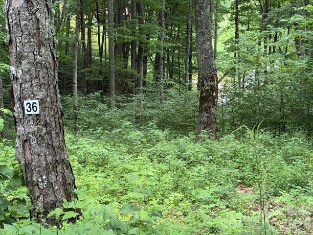 Is there a buildable mountain lot in the Maggie Valley/Waynesville area with gated access, paved roads, underground utilities, and access to year-round recreation? This lot in Smoky Mountain Retreat at Eagles Nest offers a rare opportunity to create a full-time residence, vacation retreat, or investment-minded mountain home in one of the area’s established gated communities. The property is located within the highly sought-after Smoky Mountain Retreat at Eagles Nest, a 1,000-acre gated log home community known for its natural beauty, abundant wildlife, paved roads, and elevated mountain setting that feels tucked inside a national park.

Discover the opportunity to build in Smoky Mountain Retreat at Eagles Nest, a sought-after gated mountain community in Maggie Valley, North Carolina, known for its natural beauty, well-maintained paved roads, underground utilities, and impressive elevations above 4,000 feet. Surrounded by the peaceful scenery of the Smoky Mountains, this community delivers the quiet retreat feel buyers want while keeping everyday conveniences and regional attractions within easy reach.

Located in the mountains of Maggie Valley, this homesite offers convenient access to Waynesville, Cherokee, Asheville, the Blue Ridge Parkway, Great Smoky Mountains National Park, Cataloochee Ski Area, local dining, shopping, hiking, fishing, and four-season mountain recreation. Community amenities include hiking trails and a playground, creating a setting that blends mountain privacy, outdoor enjoyment, and practical convenience.

This particular lot offers a buildable lot with a stream, giving future owners the flexibility to plan a mountain property that fits their lifestyle and goals. Whether you are dreaming of a private primary residence, a weekend getaway near outdoor adventure, or a mountain home with long-term investment potential, this Maggie Valley mountain lot provides a chance to secure your place in one of Western North Carolina’s desirable high-elevation communities.

For buyers searching for land in the Maggie Valley/Waynesville area. This unique community offers two gates one closer to Maggie Valley the other closer to Waynesville. If your looking for Smoky Mountain community, or a homesite near Waynesville and the Blue Ridge Parkway, this property offers location, setting, and mountain lifestyle potential in one compelling opportunity.