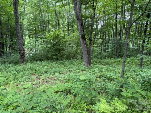 Smoky Mountain Retreat at Eagles Nest - Land