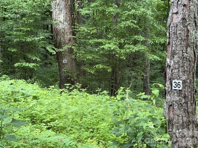 Smoky Mountain Retreat at Eagles Nest - Land