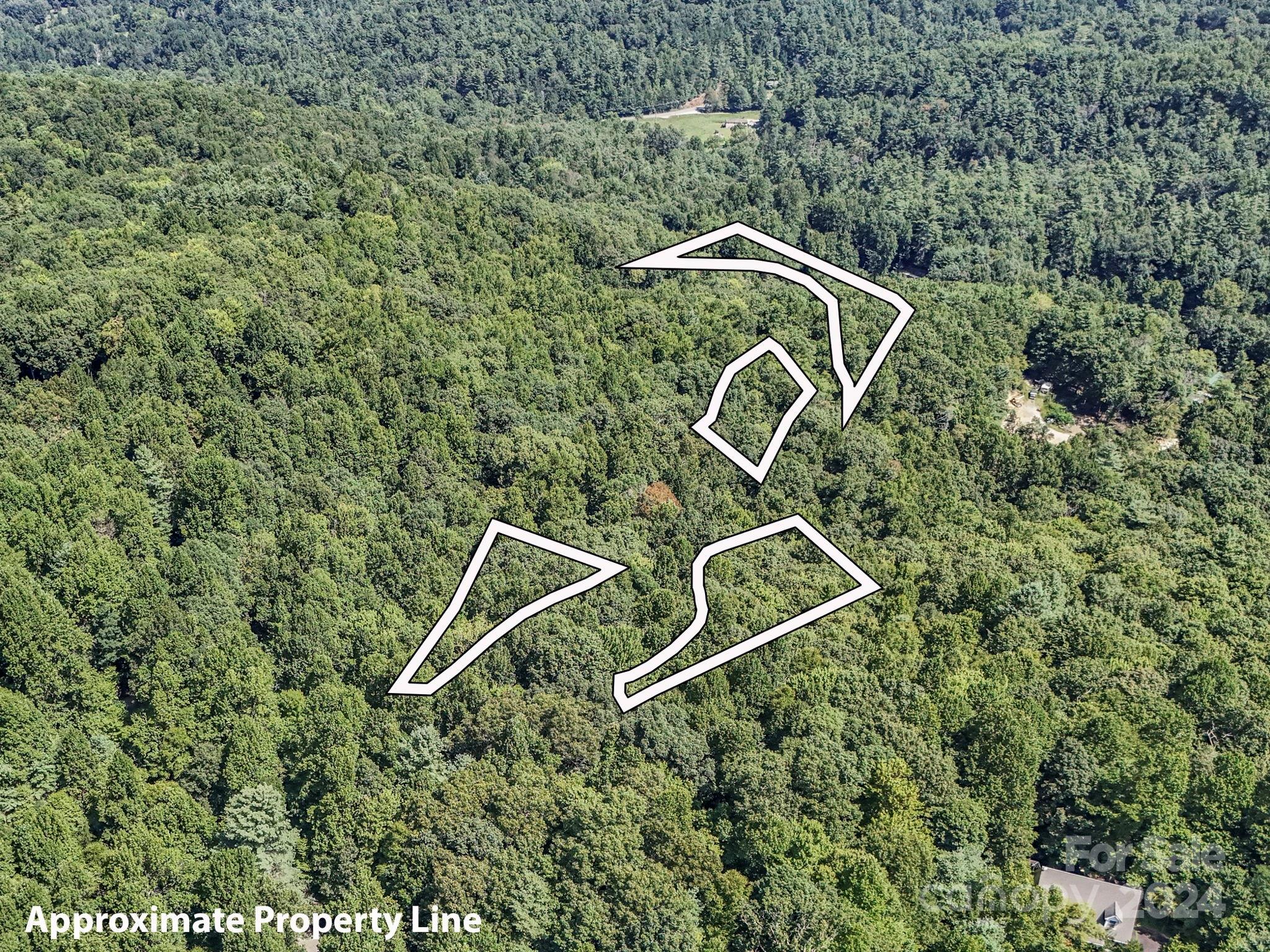Kanuga Ridge - Land