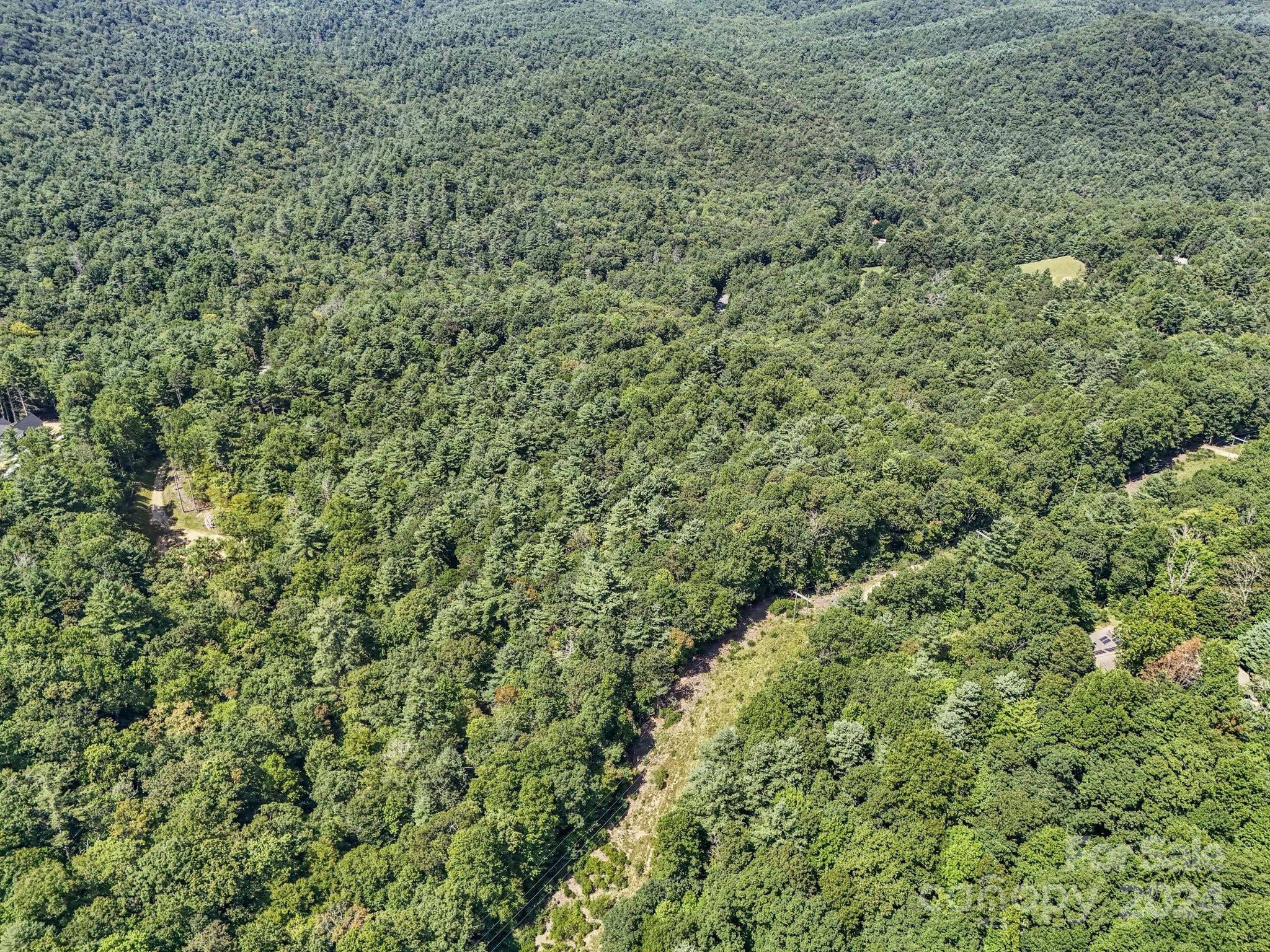 Kanuga Ridge - Land