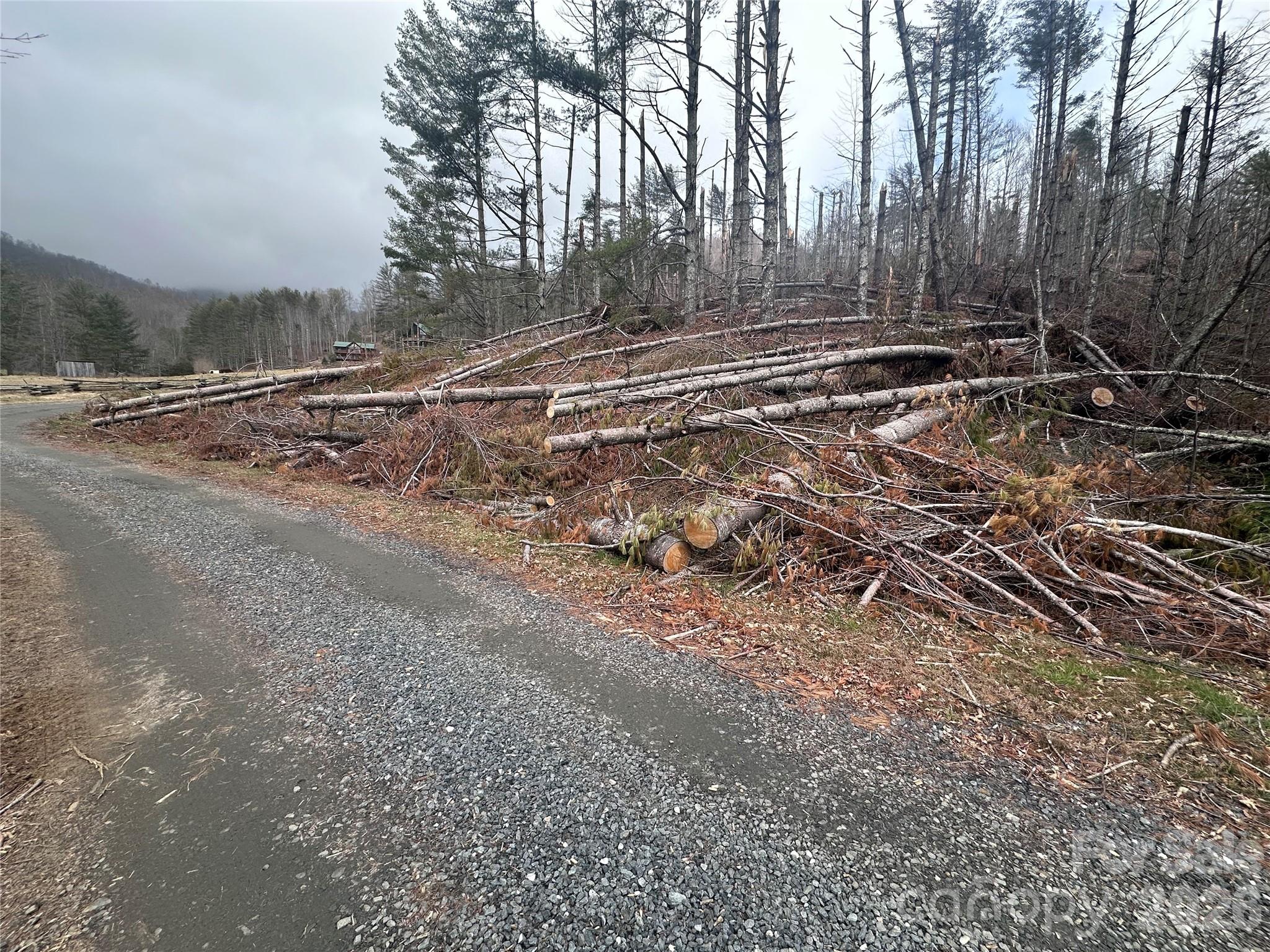 Beech Creek Estates - Land
