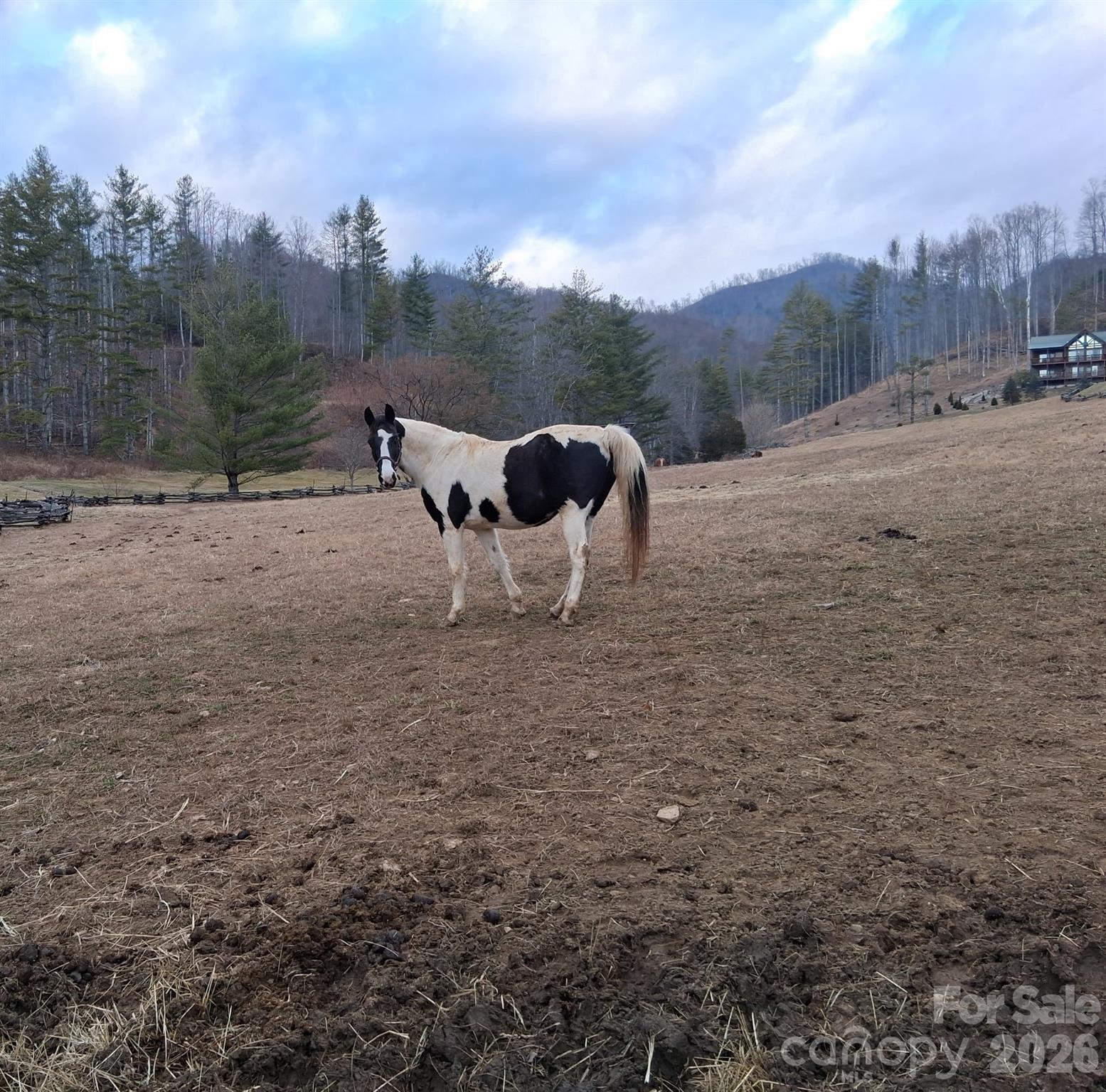 Beech Creek Estates - Land