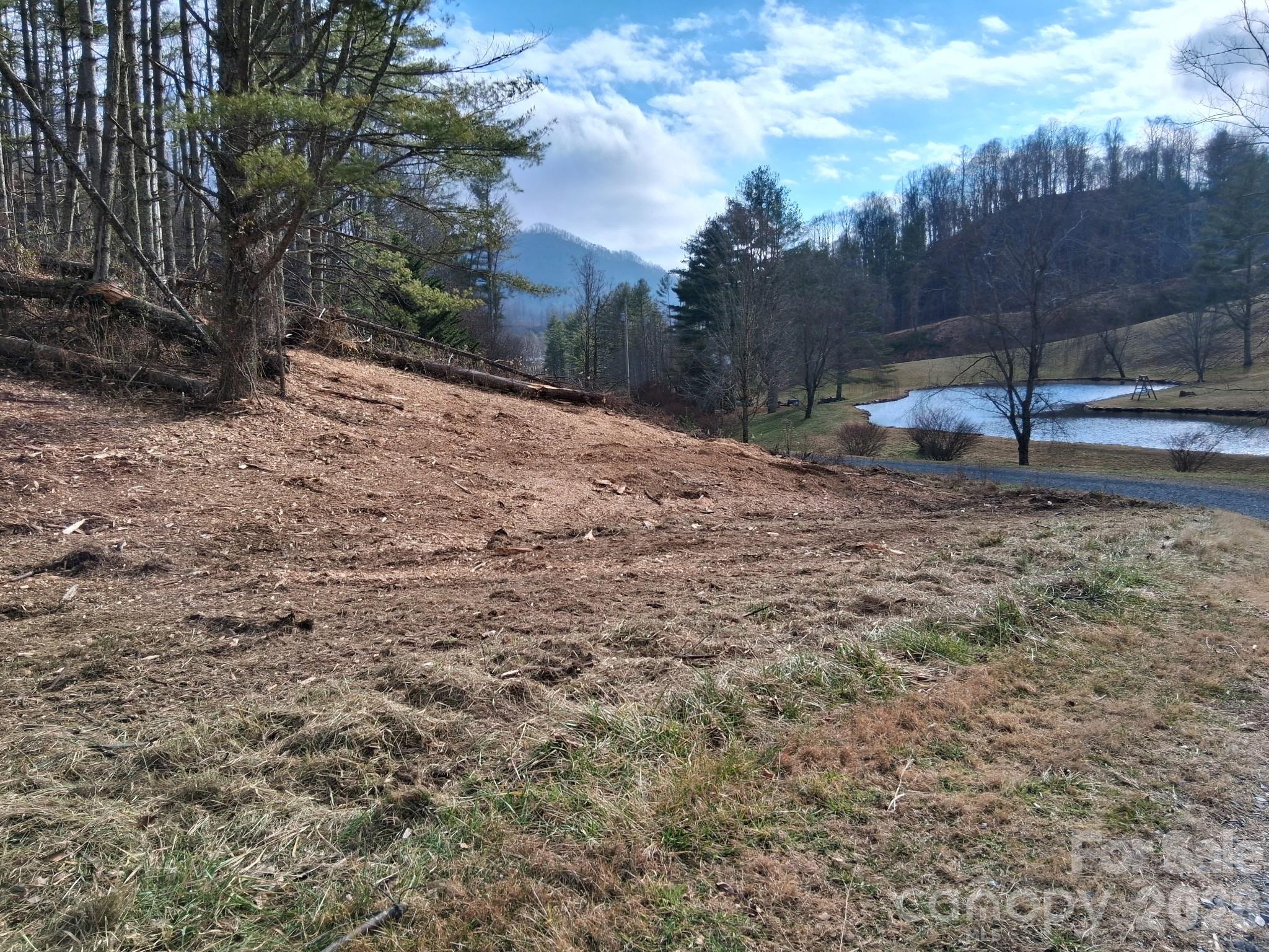 Beech Creek Estates - Land