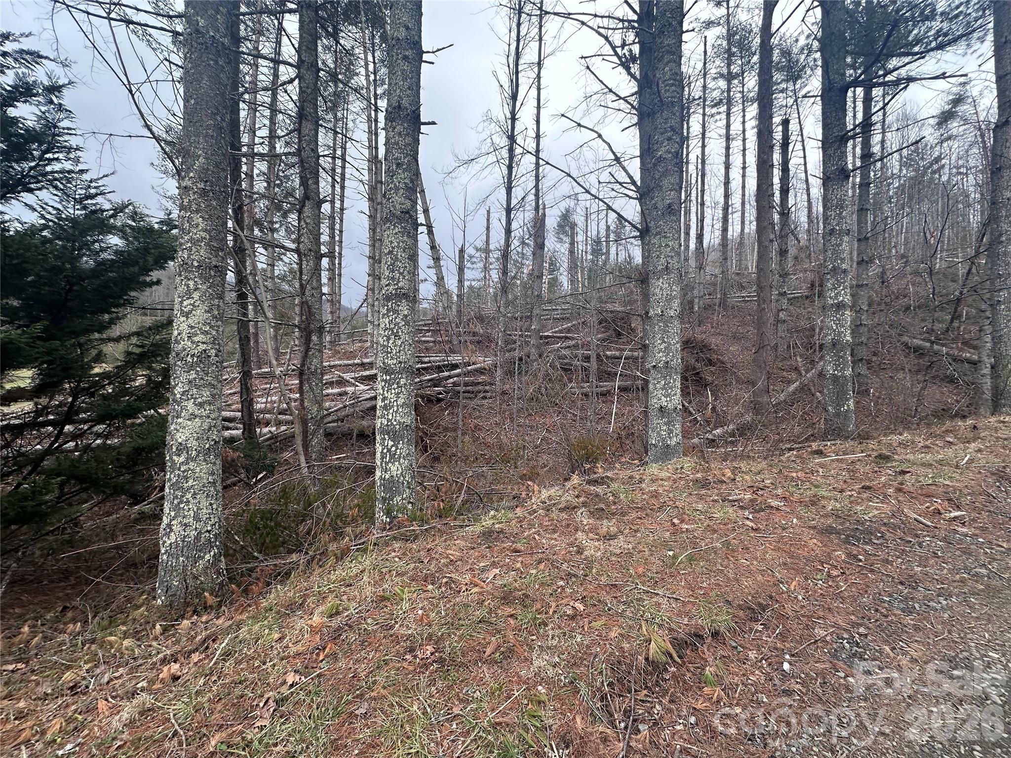 Beech Creek Estates - Land