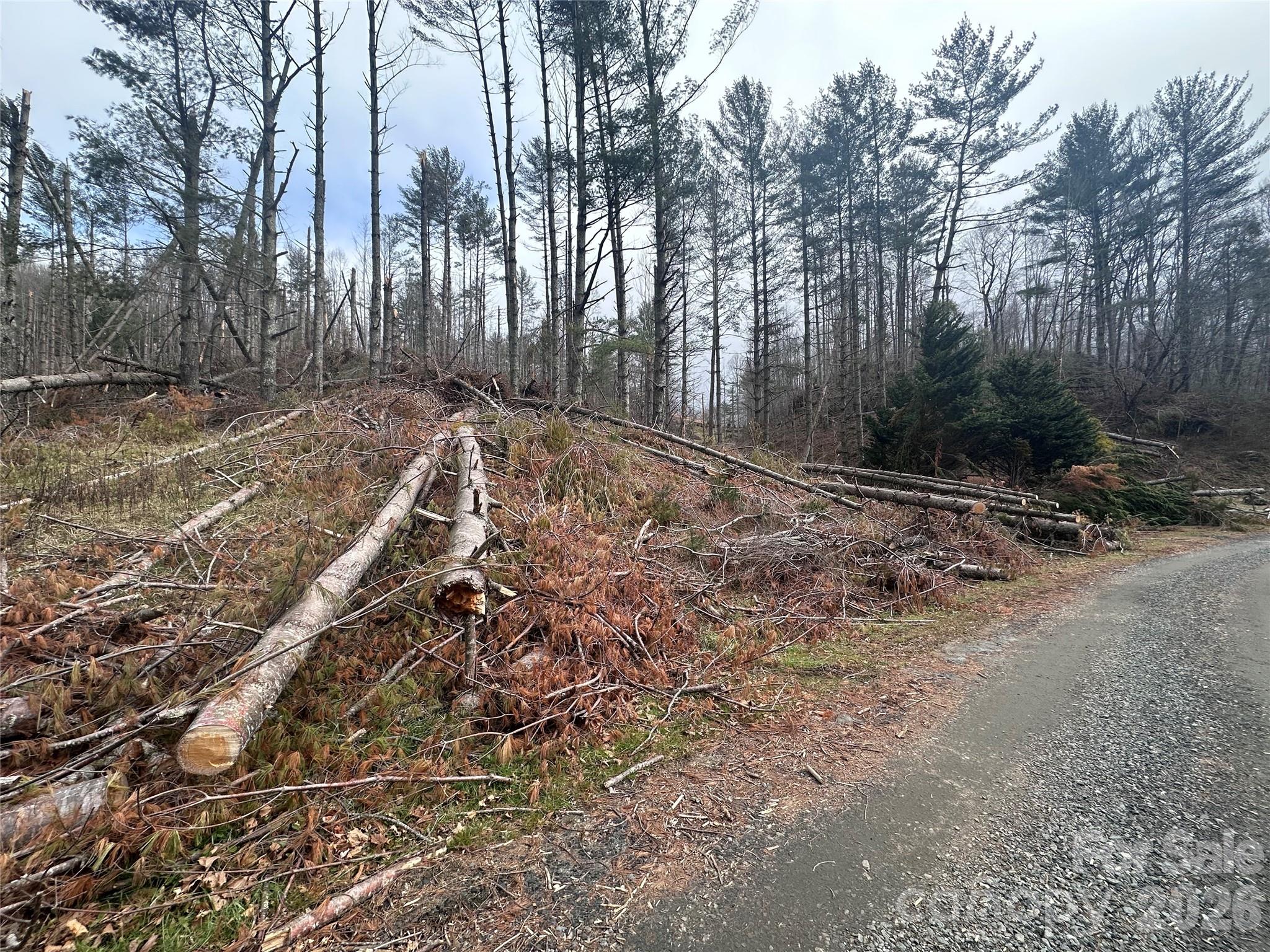 Beech Creek Estates - Land