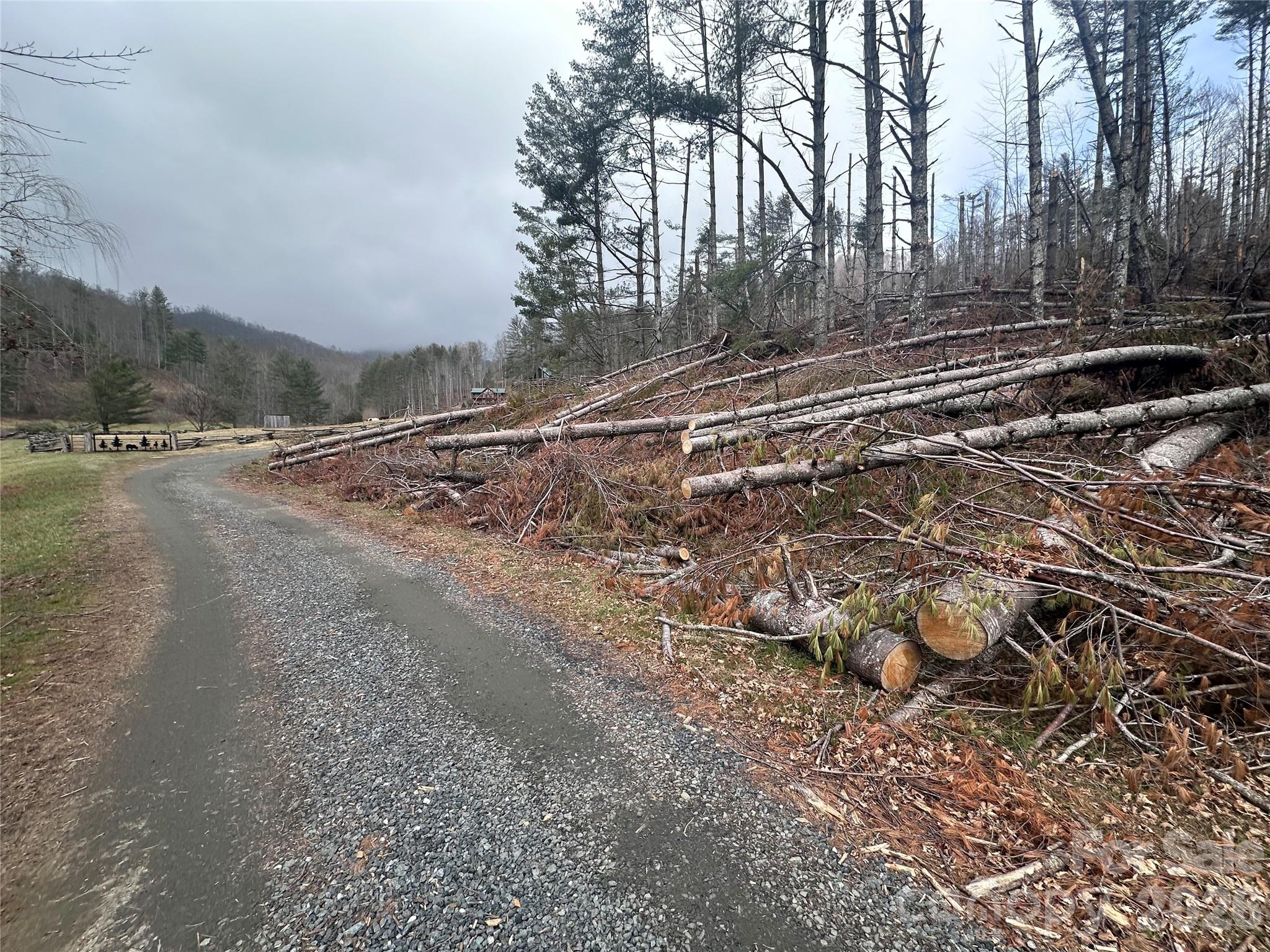 Beech Creek Estates - Land