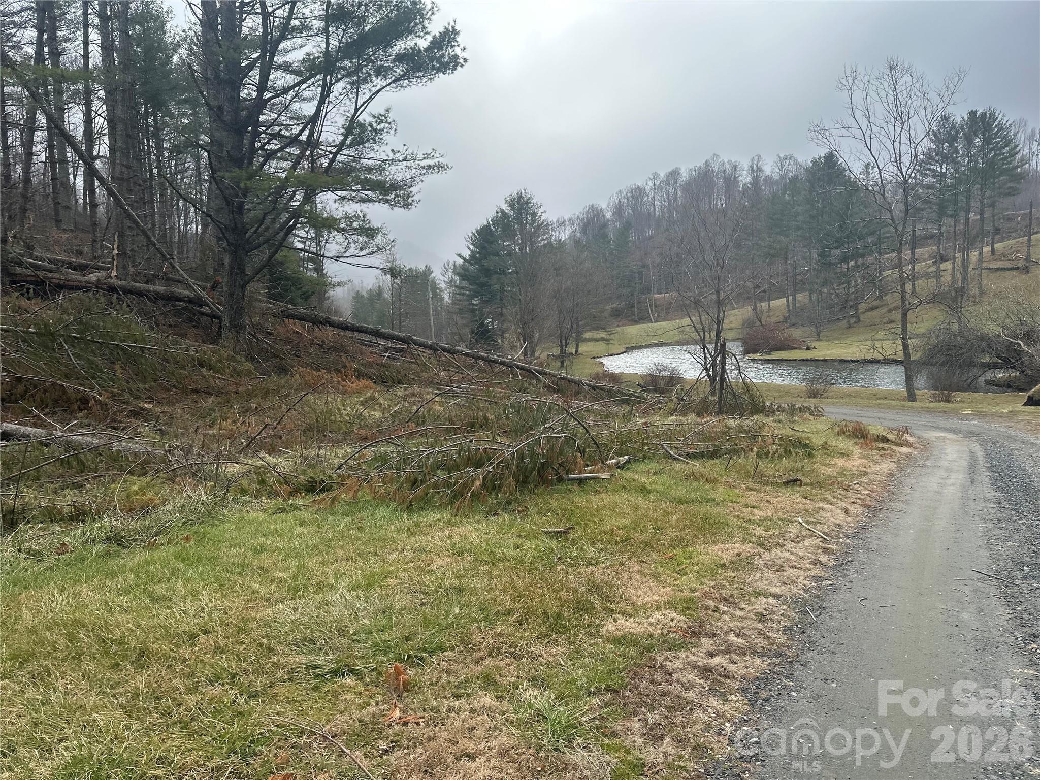 Beech Creek Estates - Land
